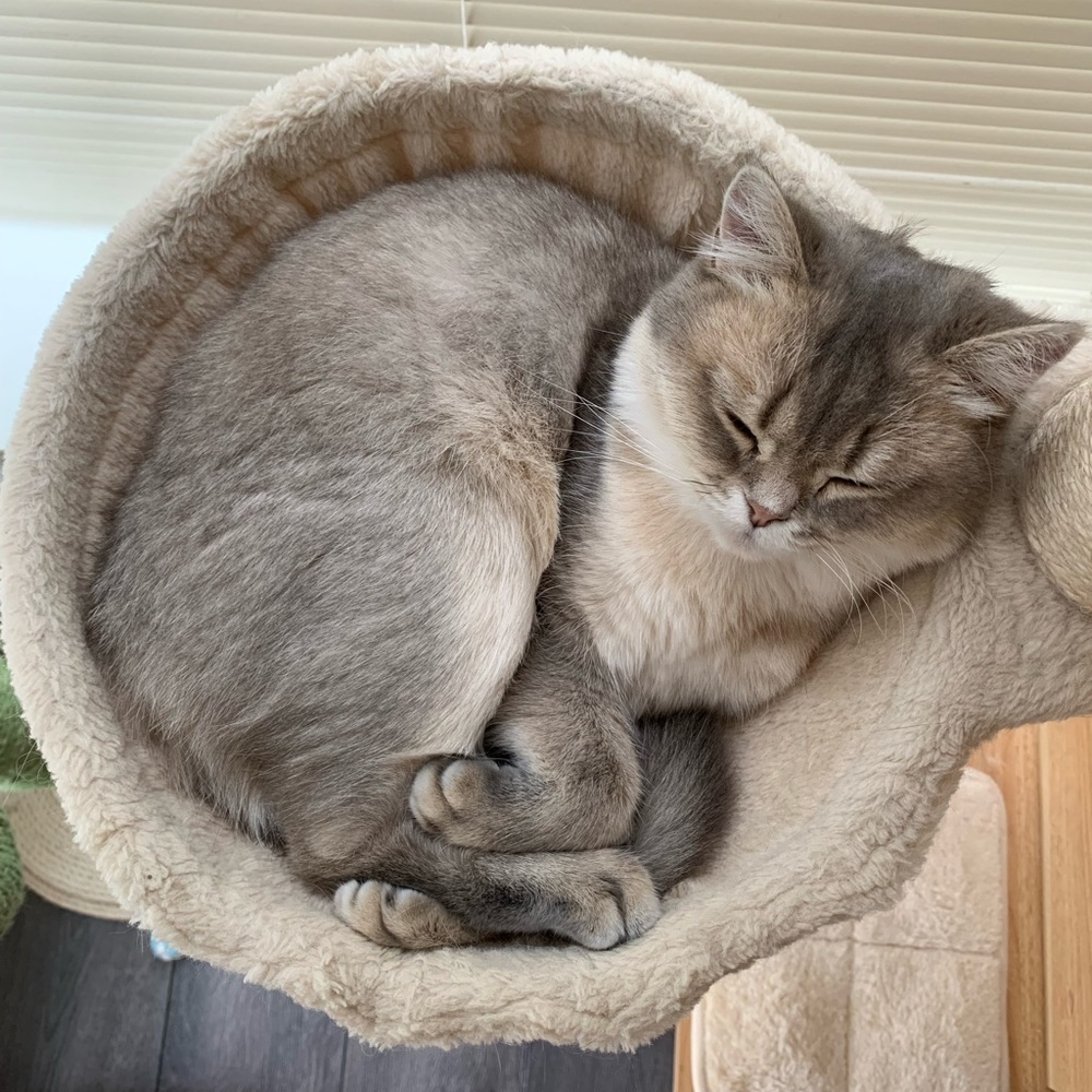 Meet your Posher, Minyue